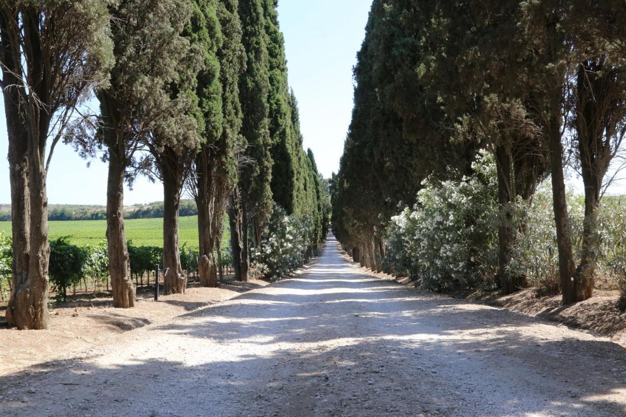 Tenuta Di Pietra Porzia Monte Porzio Catone Екстер'єр фото