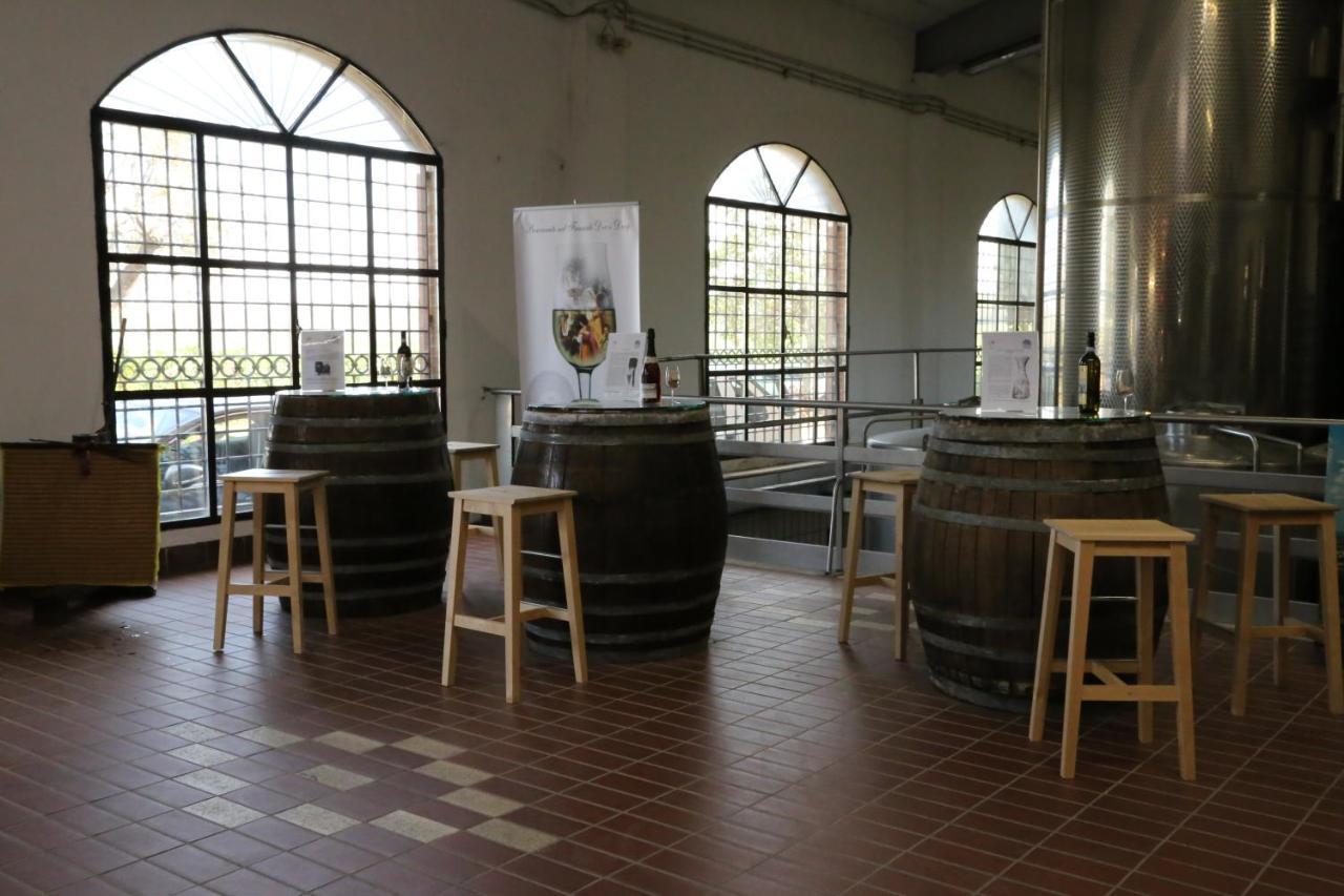 Tenuta Di Pietra Porzia Monte Porzio Catone Екстер'єр фото