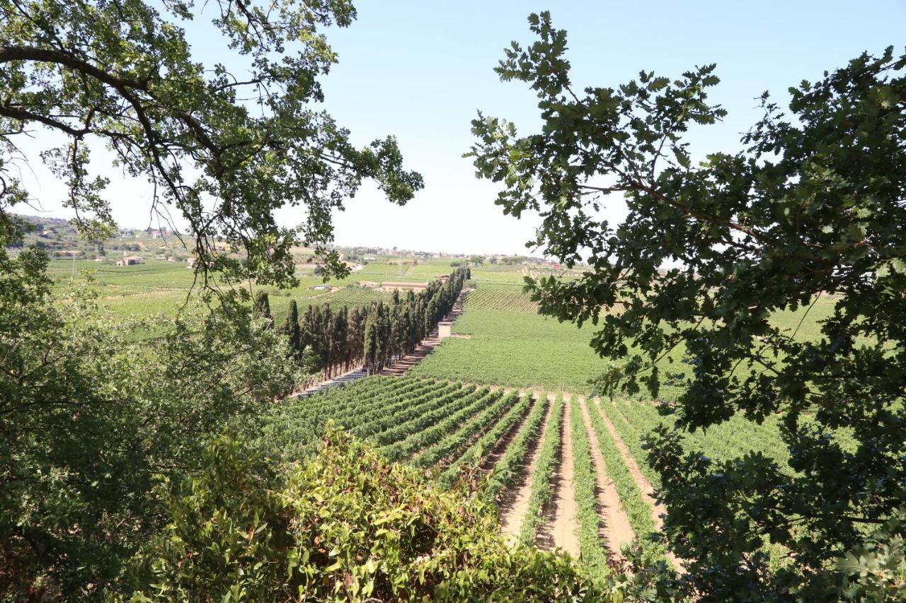 Tenuta Di Pietra Porzia Monte Porzio Catone Екстер'єр фото
