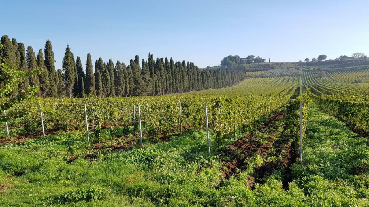 Tenuta Di Pietra Porzia Monte Porzio Catone Екстер'єр фото